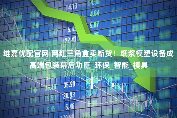 维嘉优配官网 网红三角盒卖断货！纸浆模塑设备成高端包装幕后功臣_环保_智能_模具
