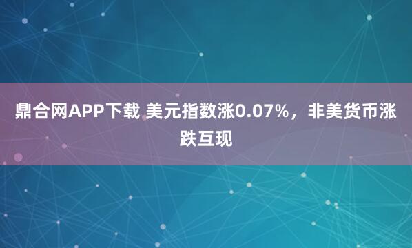 鼎合网APP下载 美元指数涨0.07%，非美货币涨跌互现