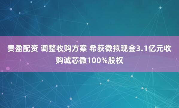 贵盈配资 调整收购方案 希荻微拟现金3.1亿元收购诚芯微100%股权