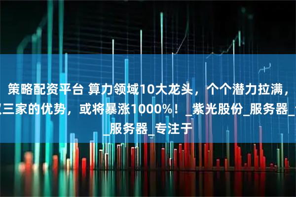 策略配资平台 算力领域10大龙头，个个潜力拉满，全球仅三家的优势，或将暴涨1000%！_紫光股份_服务器_专注于