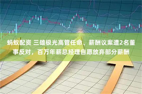 蚂蚁配资 三雄极光高管任命、薪酬议案遭2名董事反对，百万年薪总经理自愿放弃部分薪酬