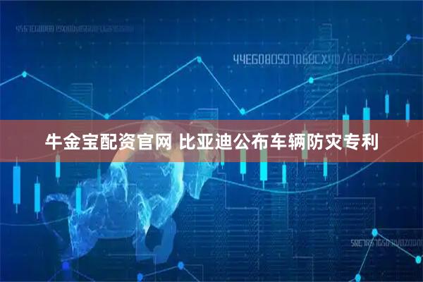 牛金宝配资官网 比亚迪公布车辆防灾专利